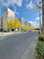 新着物件:鼓動高鳴る