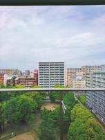 広がる公園view