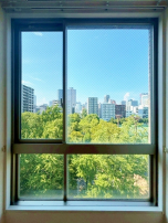 素晴らしきGreen View