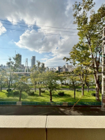 低層階でもこの眺望