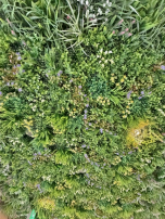 北浜の森は只今清掃中