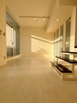 弁天町の白系デザマン