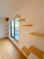 2匹以上ペットを飼いたい方に…