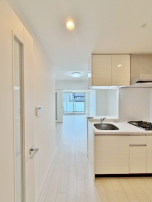 まっしろしろすけ