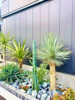 「美しい、ガレハ。」