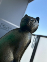 検索結果:猫様が主役