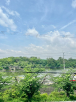 検索結果:緑は目に優しいぞ